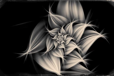 Abstract Black White HD Wallpaper.jpg