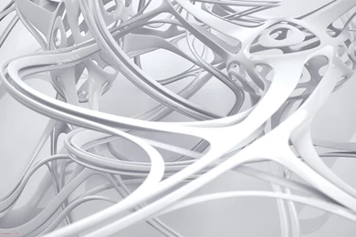 White Wallpapers Hd 77206