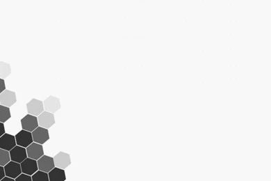 White Wallpaper_hd Wallpaper_download Free Wallpapers