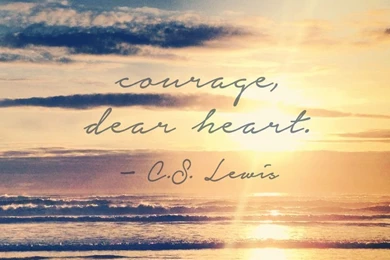 Phone Wallpapers_mobile Wallpaper_download Free Wallpapers