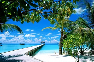 Download wallpaper for pc 1.jpg