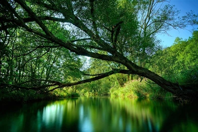 Wallpapers For PC Download_hd Wallpaper_download Free Wallpapers