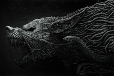Download Wallpapers Dark Wolf (1920 X 1080 HDTV 1080p). Desktop ...