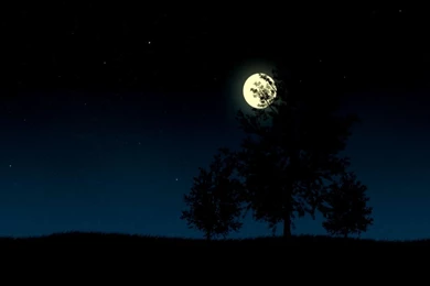 Wallpapers Hd Black Moon Widescreen Desktop Backgrounds