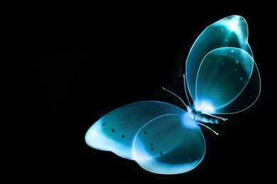 Nice PC Wallpaper HD.jpg