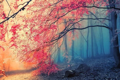 Wallpapers Recopilación [Full HD] [1080p]