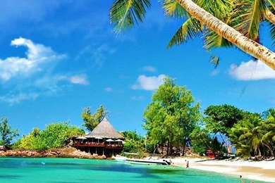 Beach iPhone Wallpapers HD