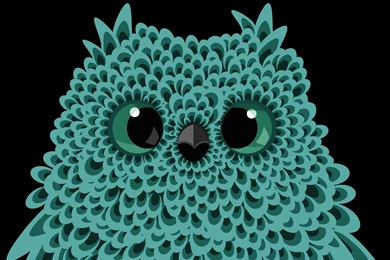 Owl Wallpapers Photos Backgrounds Detail