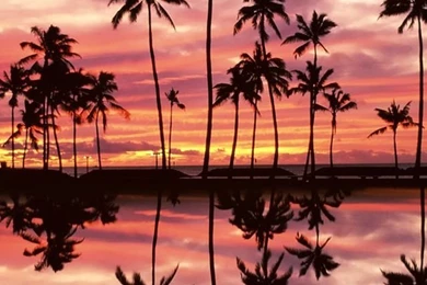 Sunset Over The Ala Moana Beach Park, Honolulu, Oahu, Hawaii ...