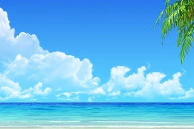 640x960 Breath Taking Tropical Beach Iphone 4 Wallpapers