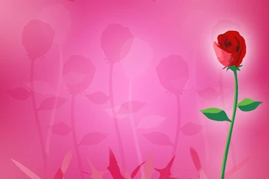 10 Free Rose Backgrounds That Are Great For Valentines Day ...
