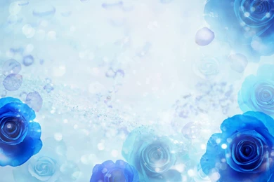 Blue Rose Wallpapers