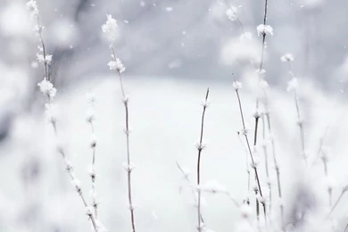 Snow HD Desktop Wallpapers : High Definition : Fullscreen : Mobile