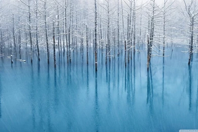 Snow Pond HD Desktop Wallpapers : Widescreen : High Definition ...