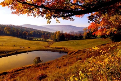 Autumn Image For Desktop Wallpapers