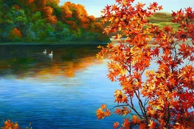 Nature HD Wallpapers