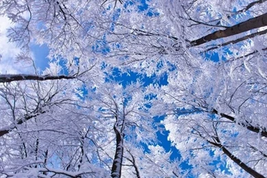 Winter Backgrounds Wallpapers