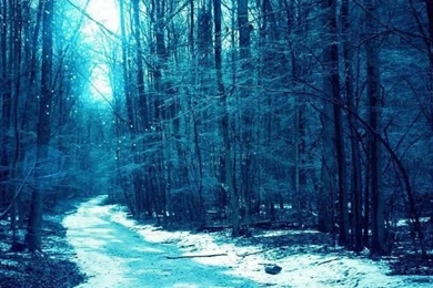 Winter iPhone 5s Wallpapers