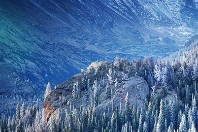 Forest iPhone 5s Wallpapers