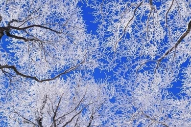 iPhone 5 Wallpapers, iPhone 5 Backgrounds