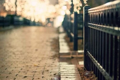 Winter Wallpapers On Pinterest