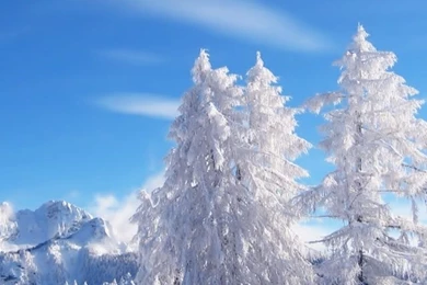 640x960 Winter Iphone 4 Wallpapers