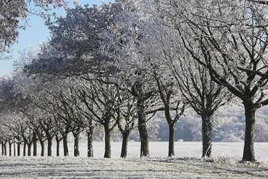 Winter Alley iPhone 5s Wallpapers Download