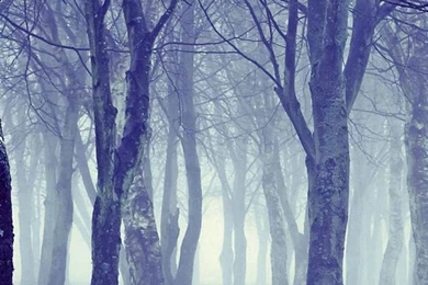 Winter iPhone 6 Wallpapers HD And Winter 6 Plus Wallpapers 1080P