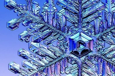 640x960 Winter Flake Iphone 4 Wallpapers