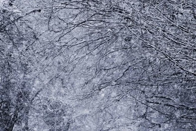 Winter Road iPhone 5 Wallpapers (640x1136)