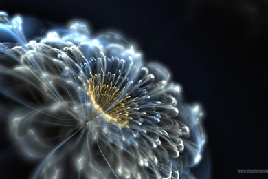 3D Cartoons Wallpapers HD (74)