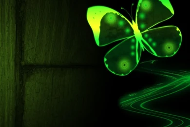 Neon Green Butterfly Wallpapers.jpg