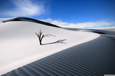 White Desert HD Desktop Wallpapers : Mobile : Dual Monitor