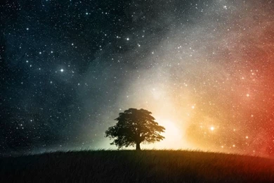 InterfaceLIFT: 1024x600 Wallpapers Sorted By Comments