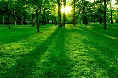 Page 2: Netbook 1024x600 Nature Wallpapers, Desktop Backgrounds HD ...