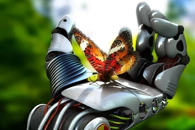 Download Windows 7 Starter Wallpapers Changer; 36 Netbook ...