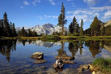 Landscape Wallpapers   Splendid Wallpapers HD