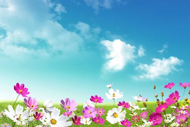 Graphic Downloads   LifePoint Church   White Plains, KY