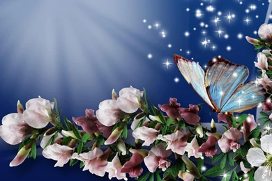 Spring Butterfly HD Desktop Backgrounds 7755   HD Wallpapers Site