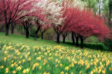 Spring Theme Wallpapers 28455 Hd Desktop Backgrounds And Widescreen ...
