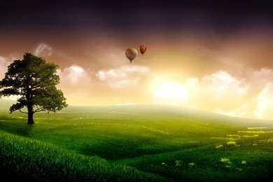 Smart Steps To Get Free Animated Wallpapers For Desktop: Animated ...