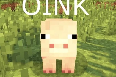 Funny iPhone 5 Wallpapers