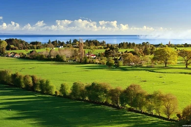 Green Landscape Wallpapers 1366x768