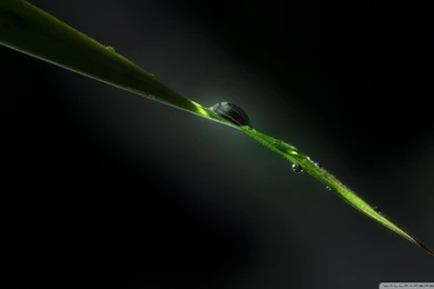 Lamborghini Reventon Wallpapers Hd 186121