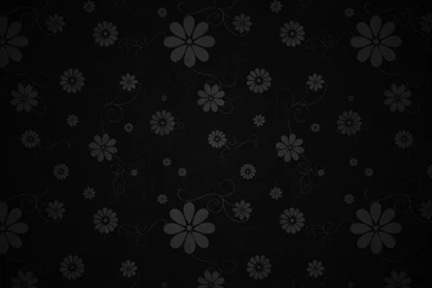 Floral Black Wallpapers 1920x1080 By Mucski On DeviantArt