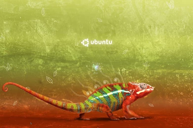 Desktop, Themes, Intrepid, Studio, Ubuntu, Theme (