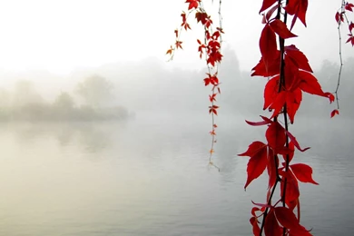 Classic Wallpaper: Ubuntu Desktop Backgrounds