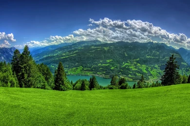 Desktop Backgrounds Wallpapers