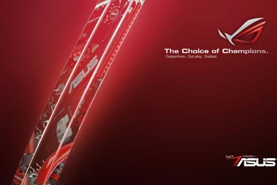 Wallpapers     Republic Of Gamers