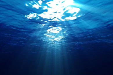 Underwater Wallpapers For Android